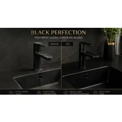 Black Perfection 500ml Technus