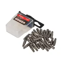 Bit Torx T25 mm